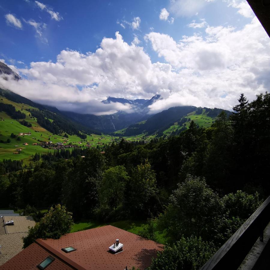 Fewo Fernsicht Crystal Adelboden Extérieur photo