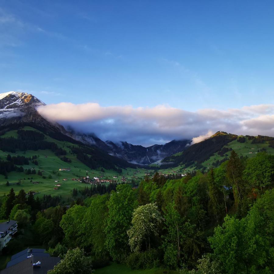 Fewo Fernsicht Crystal Adelboden Extérieur photo